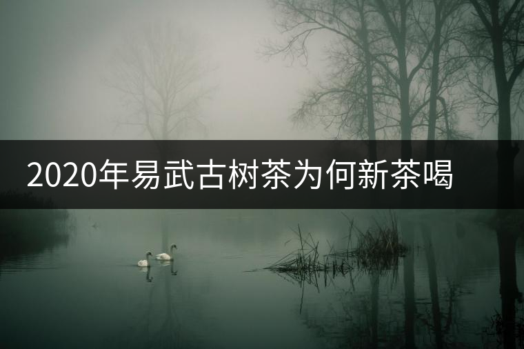 2020年易武古樹茶為何新茶喝時淡卻越放越濃?-易武中聘號 2020年易武古樹茶為何新茶喝時淡卻越放越濃?-易武中聘號