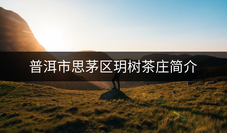 普洱市思茅區玥樹茶莊簡介