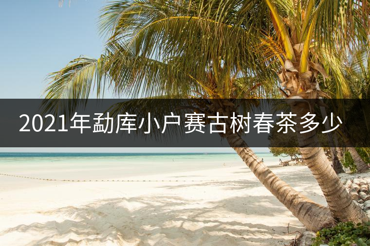 2021年勐庫小戶賽古樹春茶多少錢一公斤？