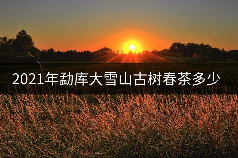 2021年勐庫大雪山古樹春茶多少錢一公斤? 2021年勐庫大雪山古樹春茶多少錢一公斤?