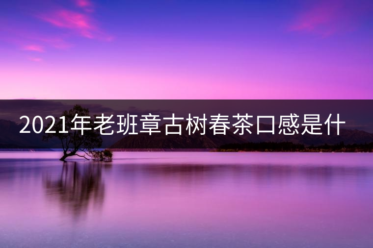 2021年老班章古樹春茶口感是什么? 2021年老班章古樹春茶口感是什么?