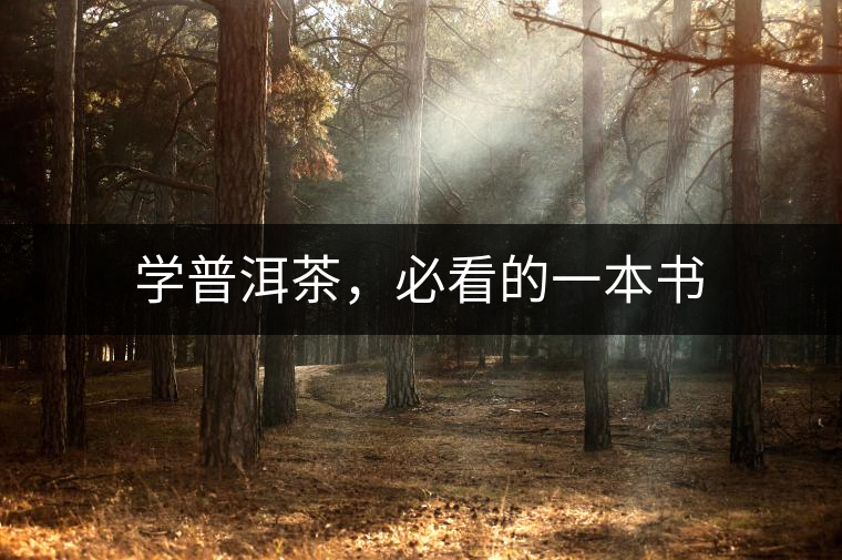 學(xué)普洱茶,必看的一本書(shū) 學(xué)普洱茶,必看的一本書(shū)