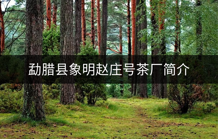 勐臘縣象明趙莊號茶廠簡介 勐臘縣象明趙莊號茶廠簡介
