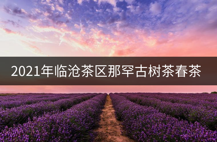 2021年臨滄茶區(qū)那罕古樹(shù)茶春茶多少錢一公斤? 2021年臨滄茶區(qū)那罕古樹(shù)茶春茶多少錢一公斤?