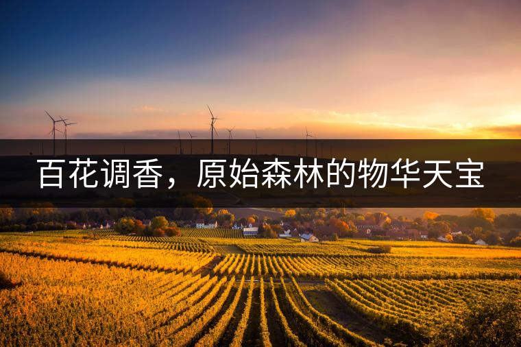 百花調香，原始森林的物華天寶