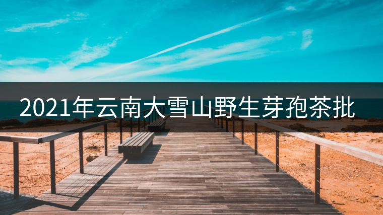 2021年云南大雪山野生芽孢茶批發 2021年云南大雪山野生芽孢茶批發