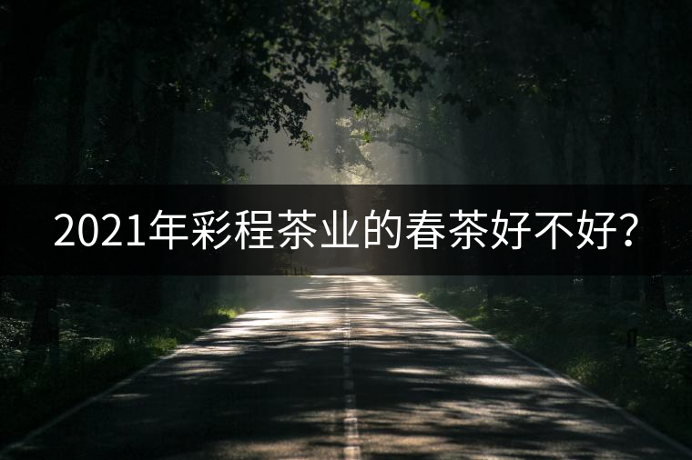 2021年彩程茶業的春茶好不好？