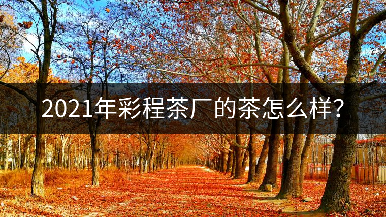 2021年彩程茶廠的茶怎么樣? 2021年彩程茶廠的茶怎么樣?