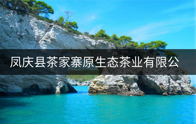 鳳慶縣茶家寨原生態茶業有限公司簡介 鳳慶縣茶家寨原生態茶業有限公司簡介