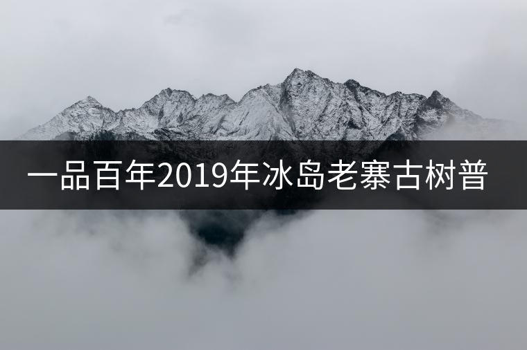 一品百年2019年冰島老寨古樹普洱茶生茶好喝嗎？