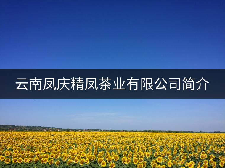 云南鳳慶精鳳茶業有限公司簡介 云南鳳慶精鳳茶業有限公司簡介