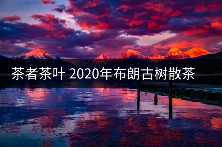 茶者茶葉 2020年布朗古樹散茶  性價比怎么樣？