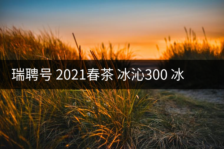 瑞聘號 2021春茶 冰沁300 冰島頭春古樹茶好喝嗎？