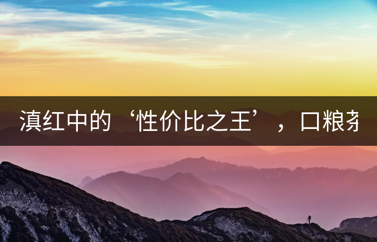 滇紅中的‘性價比之王’,口糧茶首選! 滇紅中的‘性價比之王’,口糧茶首選!