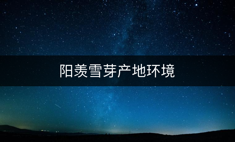 陽羨雪芽產地環境 陽羨雪芽產地環境