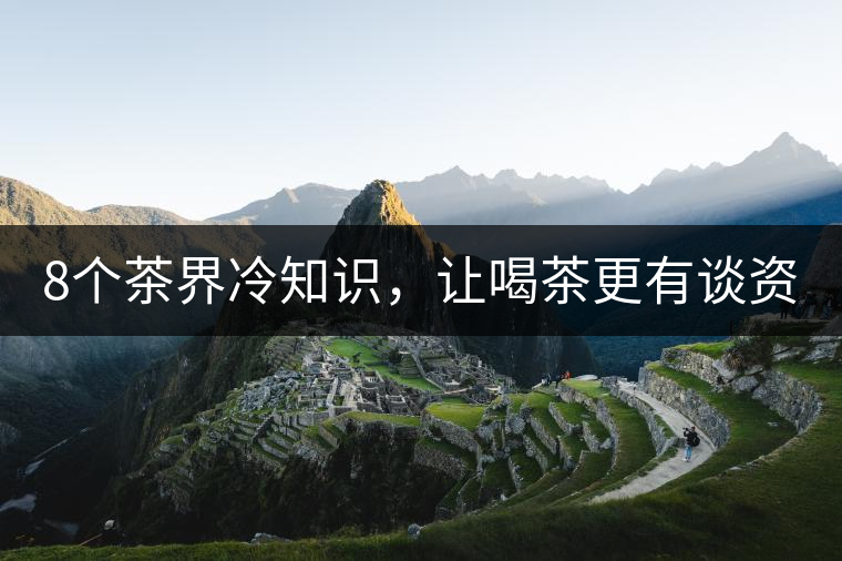 8個(gè)茶界冷知識(shí)，讓喝茶更有談資！
