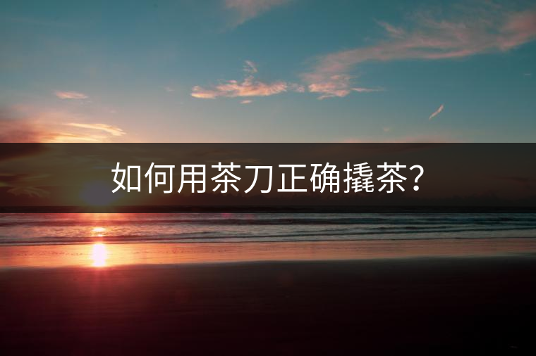 如何用茶刀正確撬茶？