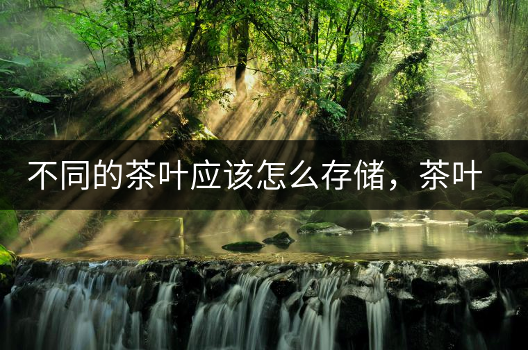 不同的茶葉應該怎么存儲,茶葉罐又該如何選擇? 不同的茶葉應該怎么存儲,茶葉罐又該如何選擇?