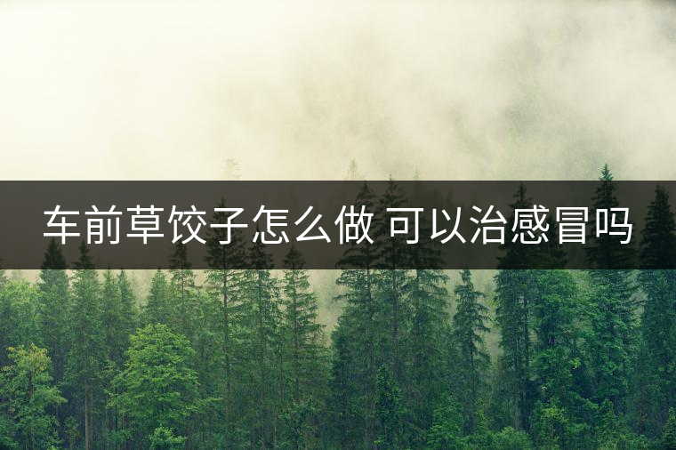 車前草餃子怎么做 可以治感冒嗎 車前草餃子怎么做 可以治感冒嗎