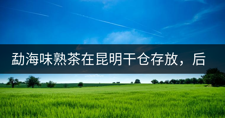 勐海味熟茶在昆明干倉存放，后期轉化如何呢？