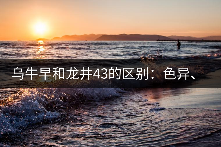 烏牛早和龍井43的區別:色異、香異、形異 烏牛早和龍井43的區別:色異、香異、形異