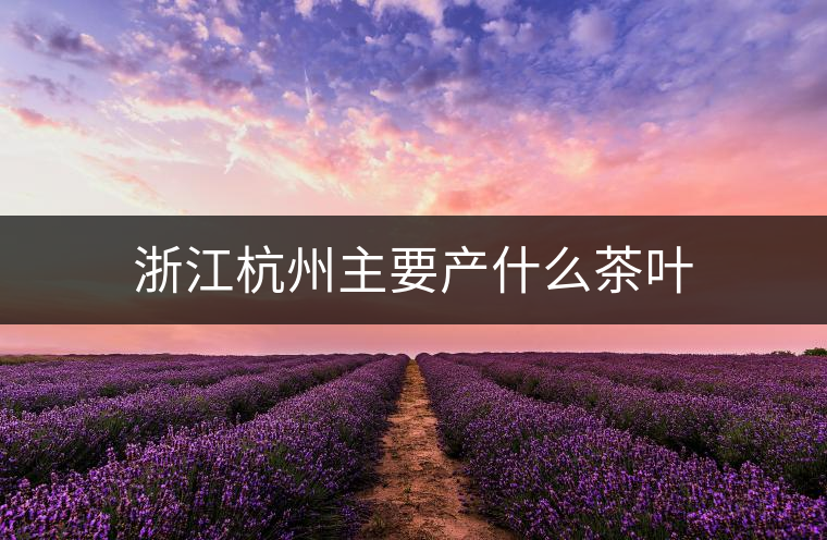 浙江杭州主要產什么茶葉