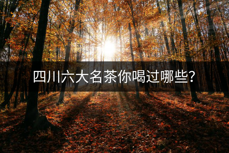 四川六大名茶你喝過哪些？