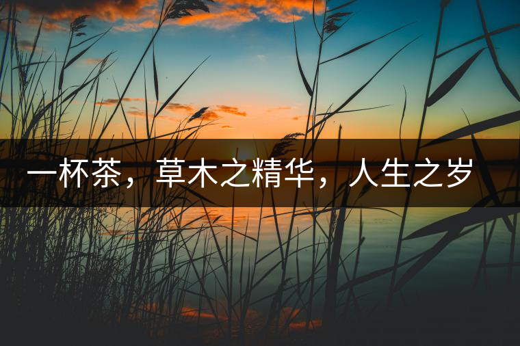 一杯茶,草木之精華,人生之歲月 一杯茶,草木之精華,人生之歲月