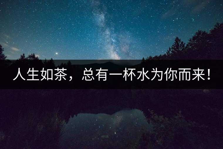 人生如茶,總有一杯水為你而來! 人生如茶,總有一杯水為你而來!