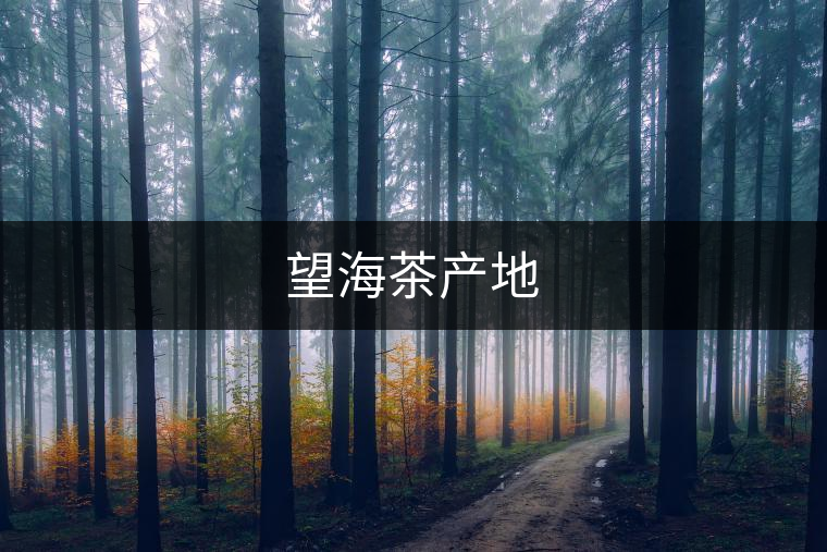 望海茶產地 望海茶產地