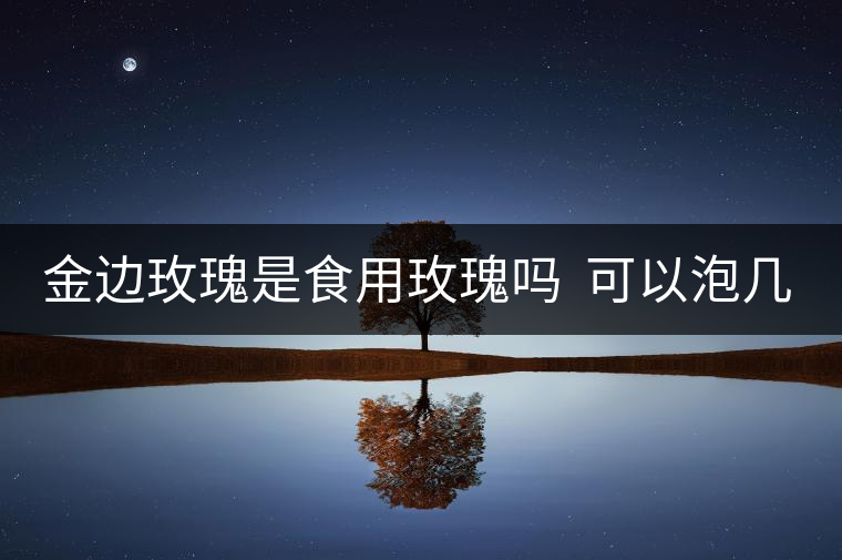 金邊玫瑰是食用玫瑰嗎 可以泡幾次 金邊玫瑰是食用玫瑰嗎 可以泡幾次