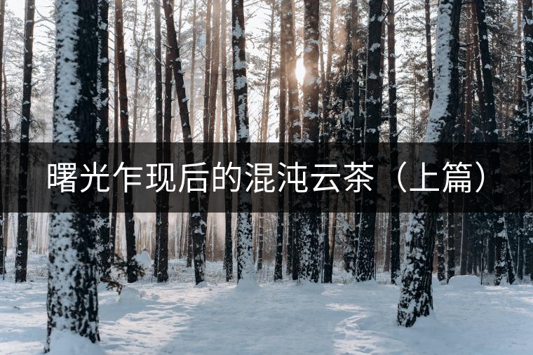 曙光乍現(xiàn)后的混沌云茶(上篇) 曙光乍現(xiàn)后的混沌云茶(上篇)