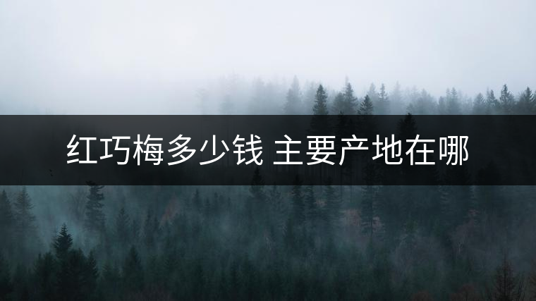 紅巧梅多少錢 主要產地在哪
