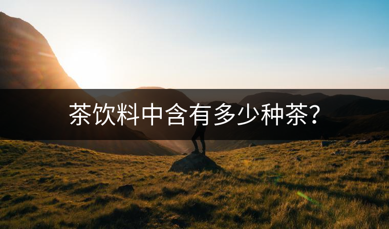 茶飲料中含有多少種茶？