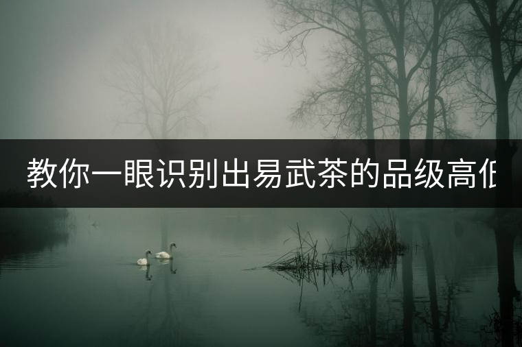 教你一眼識別出易武茶的品級高低! 教你一眼識別出易武茶的品級高低!