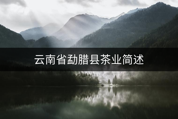 云南省勐臘縣茶業(yè)簡(jiǎn)述 云南省勐臘縣茶業(yè)簡(jiǎn)述