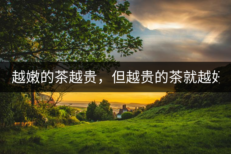 越嫩的茶越貴，但越貴的茶就越好嗎？