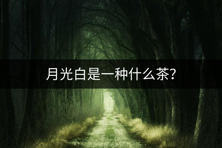 月光白是一種什么茶? 月光白是一種什么茶?