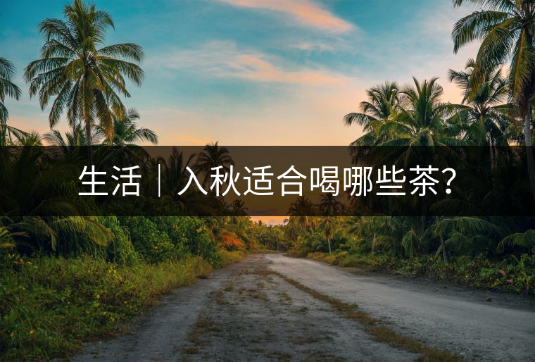 生活｜入秋適合喝哪些茶？