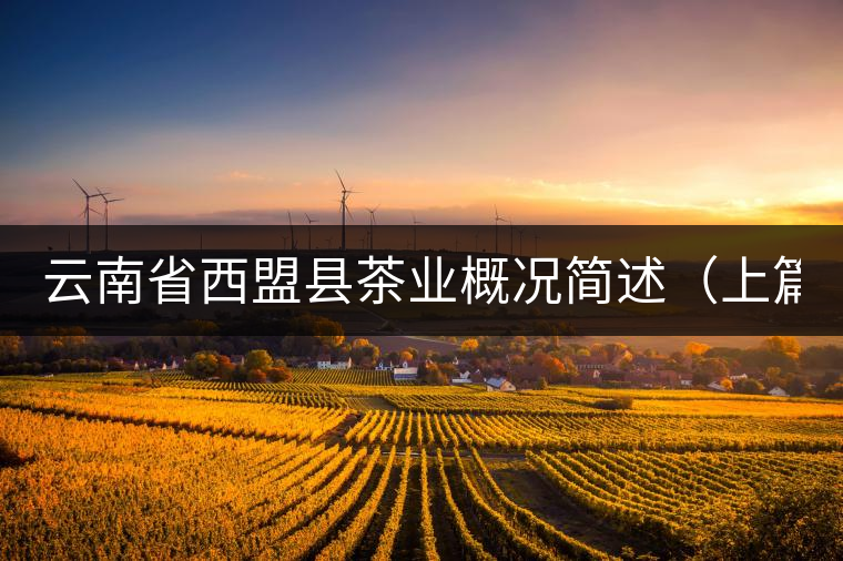 云南省西盟縣茶業概況簡述（上篇）