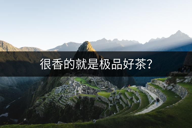 很香的就是極品好茶? 很香的就是極品好茶?