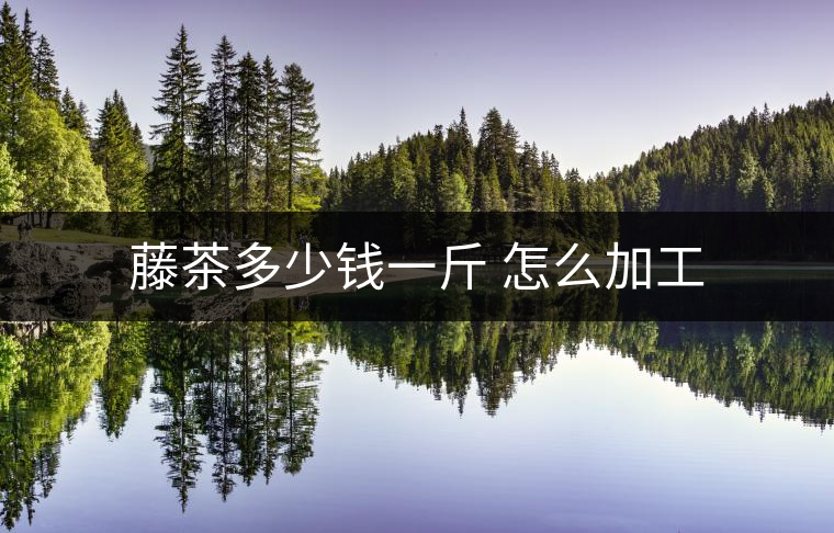 藤茶多少錢(qián)一斤 怎么加工 藤茶多少錢(qián)一斤 怎么加工