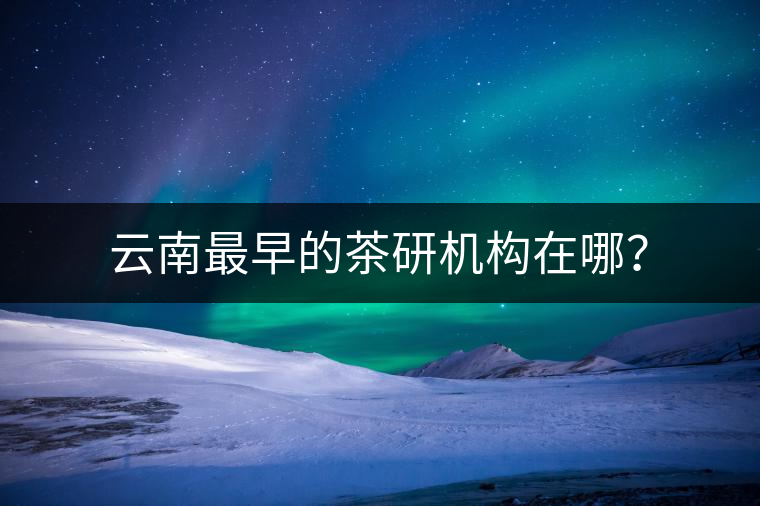 云南最早的茶研機構在哪? 云南最早的茶研機構在哪?