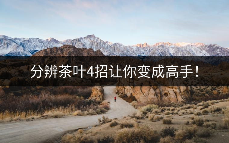 分辨茶葉4招讓你變成高手！