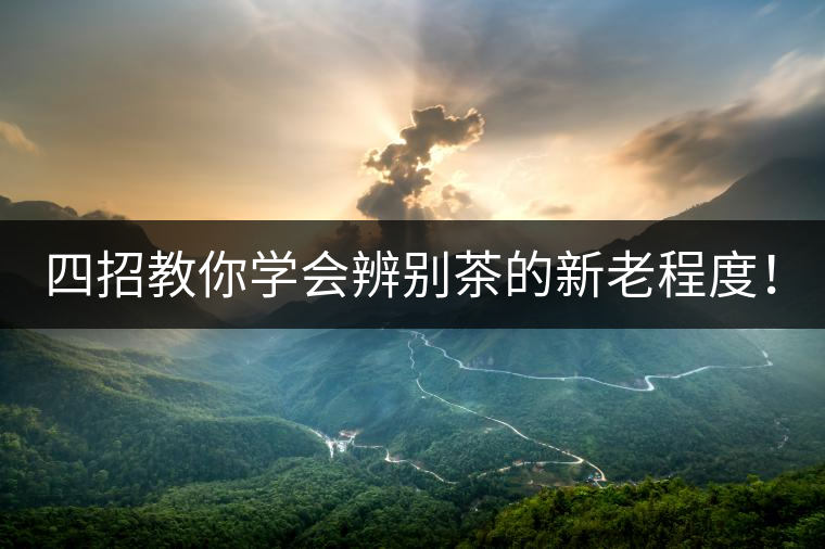 四招教你學會辨別茶的新老程度！