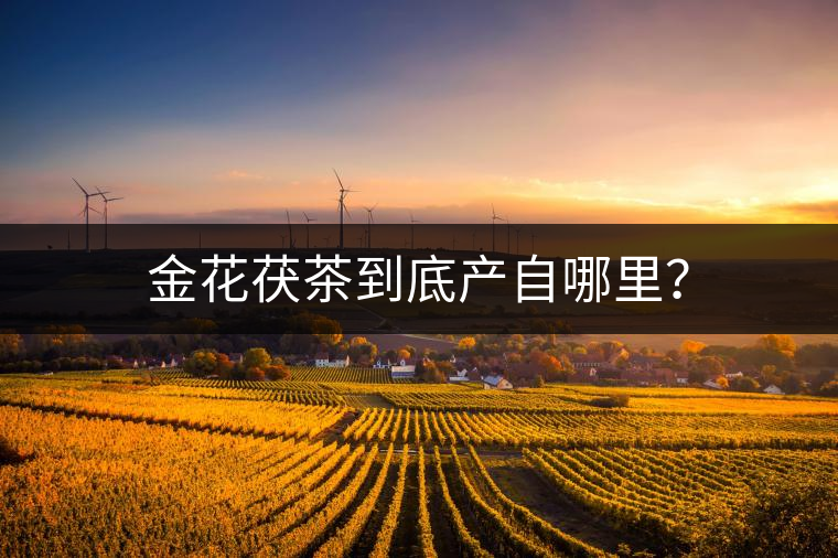 金花茯茶到底產(chǎn)自哪里? 金花茯茶到底產(chǎn)自哪里?