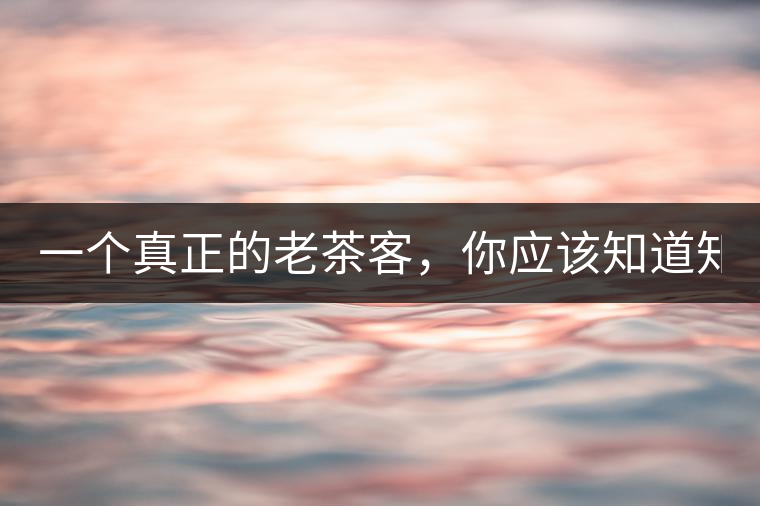 一個真正的老茶客,你應(yīng)該知道知識點! 一個真正的老茶客,你應(yīng)該知道知識點!