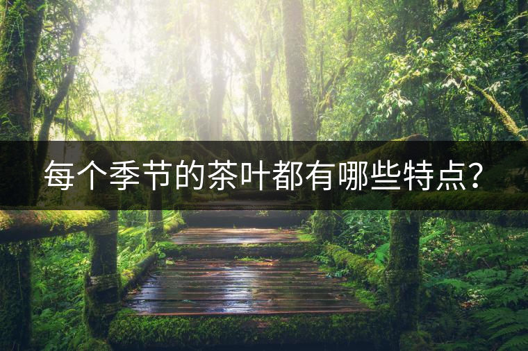 每個季節的茶葉都有哪些特點? 每個季節的茶葉都有哪些特點?