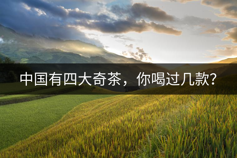 中國有四大奇茶，你喝過幾款？