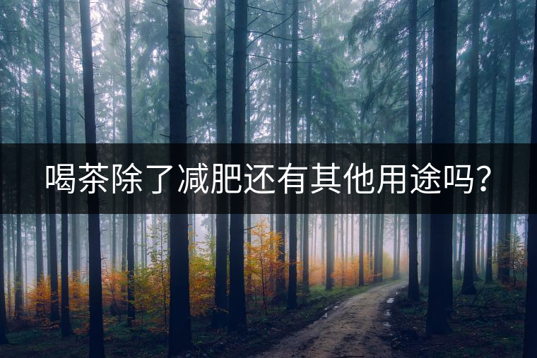 喝茶除了減肥還有其他用途嗎? 喝茶除了減肥還有其他用途嗎?